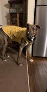 Paw Roll All-Purpose™ Reflective Quilted Dog Jacket Review