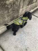 Paw Roll New PawRoll™ Dog Winter Waterproof Jacket Review