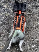 Paw Roll PawRoll™ Dog Spike Vest Harness Review