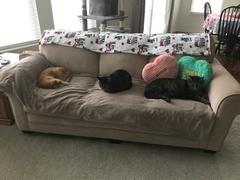 FELIWAY Shop FELIWAY® Multicat Diffuser Kit Review