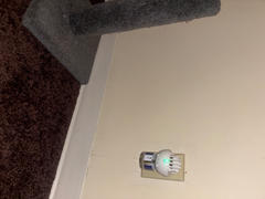 FELIWAY Shop FELIWAY® Optimum Diffuser Kit Review