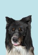 The Companion Collective Custom Pet Portrait - Digital File Review