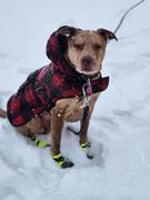 Wilderdog Dog Booties Review