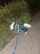 Wilderdog Fleece Jacket Review