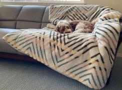 Wilderdog Sherpa Fleece Waterproof Blanket Review