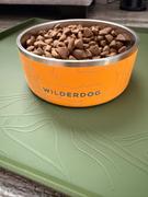 Wilderdog Stainless Steel Dog Bowl Review
