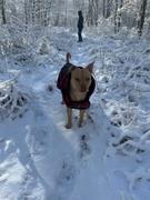 Wilderdog Plaid Shacket Review