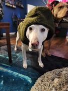 Wilderdog Plaid Shacket Review