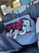 Wilderdog Plaid Shacket Review