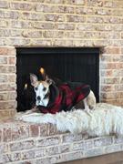 Wilderdog Plaid Shacket Review