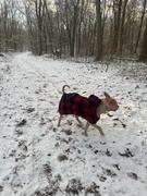 Wilderdog Plaid Shacket Review