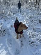 Wilderdog Plaid Shacket Review