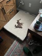 Wilderdog Memory Foam Dog Bed Review