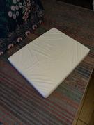 Wilderdog Memory Foam Dog Bed Review
