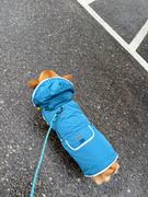 Wilderdog Dog Rain Jacket Review