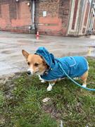 Wilderdog Dog Rain Jacket Review