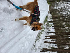 Wilderdog Olive Fleece Jacket Review
