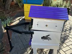 Flow Hive US  Review