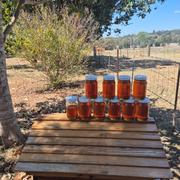 Flow Hive US  Review