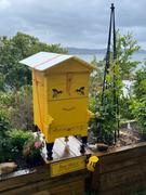 Flow Hive US  Review
