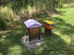 Flow Hive US  Review