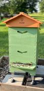 Flow Hive UK  Review