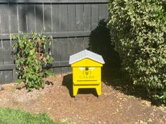 Flow Hive US  Review
