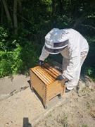 Flow Hive  Review