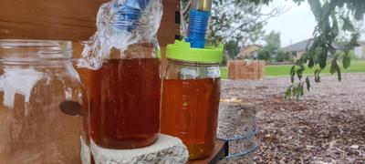 Flow Hive US  Review