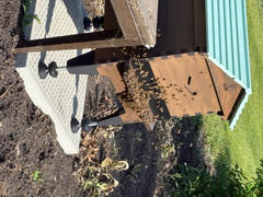 Flow Hive US  Review