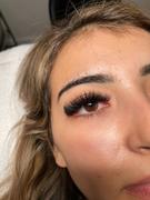 LashBeePro Mixed-Length Volume Lashes Review