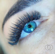 LashBeePro Mixed-Length Volume Lashes Review