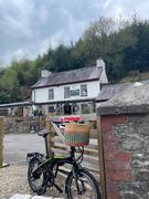 The Basket Room APANA: Handcrafted Pink and Turquoise Stripe Oblong Bike Basket Review