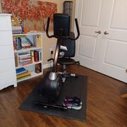 The Treadmill Factory ProForm Cadence R3.9 Recumbent Exercise Bike Review