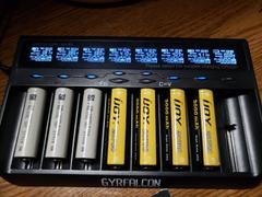 Liion Wholesale Batteries Gyrfalcon All-88 Battery Charger Review