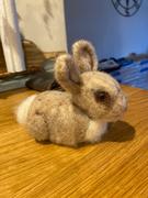 The Crafty Kit Company Baby Bunny Needle Felting Craft Kit Review