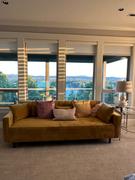 daniafurniture Delphine Sofa Review
