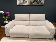 daniafurniture Svana Power Reclining Sofa Review