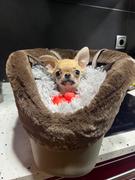 Ferplast España WITH-ME WINTER Review