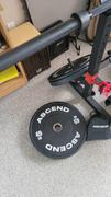 Ascend Foldable Wall Mounted Power Rack Review