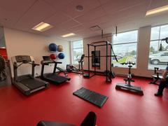 Montreal Weights Olympic Weight Plate Tree & Barbell Rack Review