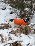 Avenza Maps Nemadji State Forest Review