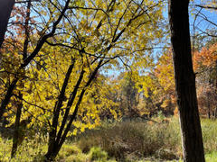 Avenza Maps Oakdale Nature Preserve Trails Mobile Map Review