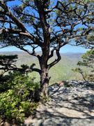 Avenza Maps Linville Gorge Wilderness Review