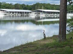 Avenza Maps Harrison Bay State Park Review