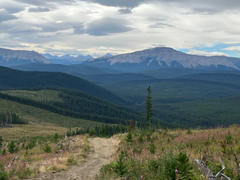 Avenza Maps CEAB26 Cadomin-Coalspur - Central Alberta Topo Review