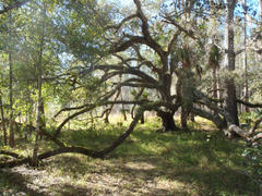 Avenza Maps Colt Creek State Park trail map 2024 Review