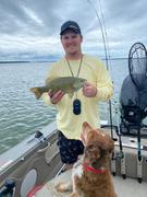 Avenza Maps AEM Rocky Lake (Bundle) Review