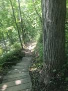 Avenza Maps Afton State Park - Summer Review