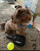 CRBN Pickleball CRBNᴷ⁹ Squeak Dog Toy Review